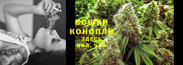 apvp Кадников